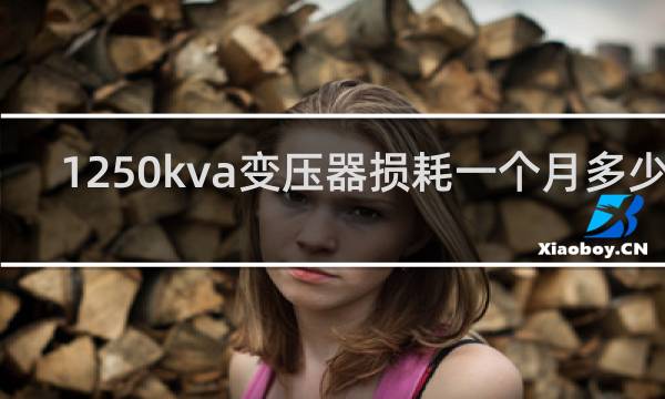 1250kva变压器损耗一个月多少度