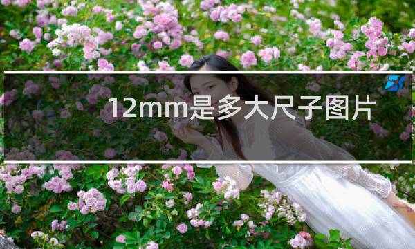 12mm是多大尺子图片