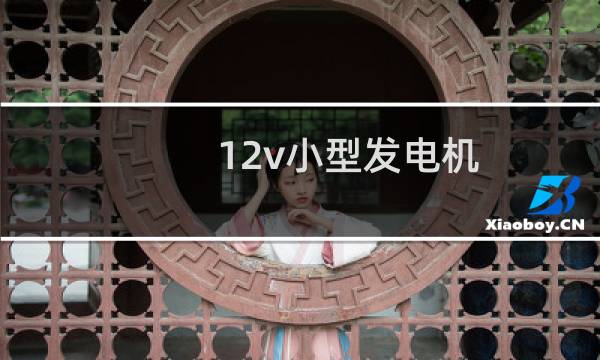 12v小型发电机图片