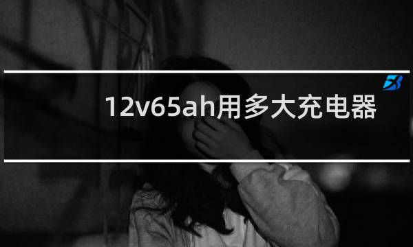 12v65ah用多大充电器