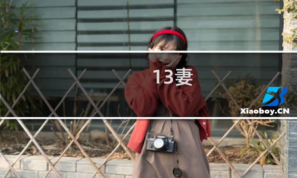 13妻 攻略