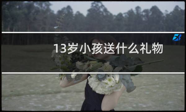 13岁小孩送什么礼物
