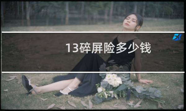 13碎屏险多少钱