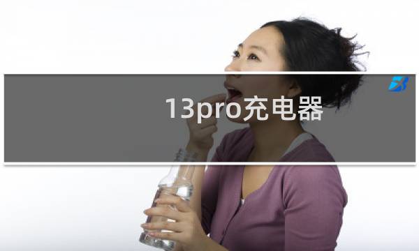 13pro充电器