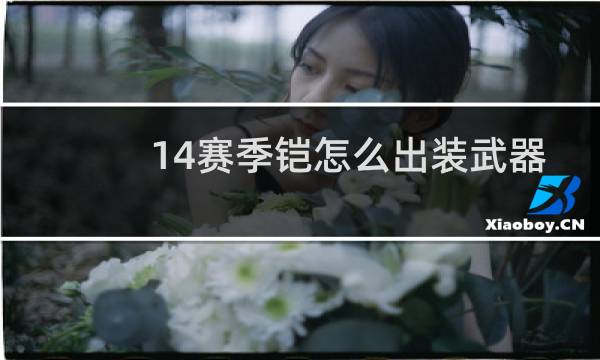 14赛季铠怎么出装武器