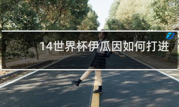 14世界杯伊瓜因如何打进
