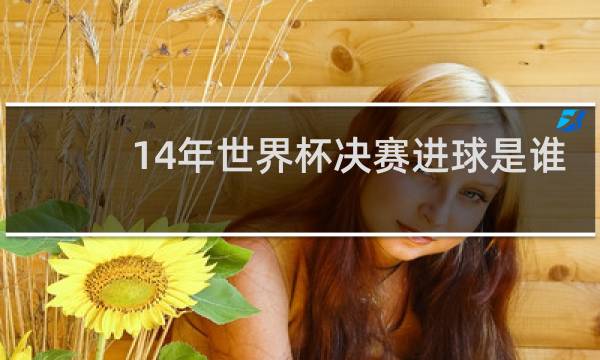 14年世界杯决赛进球是谁