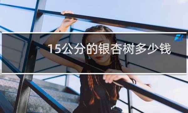 15公分的银杏树多少钱
