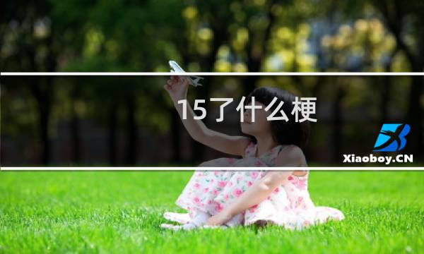 15了什么梗