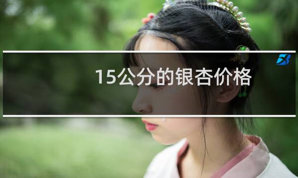 15公分的银杏价格