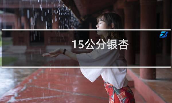 15公分银杏