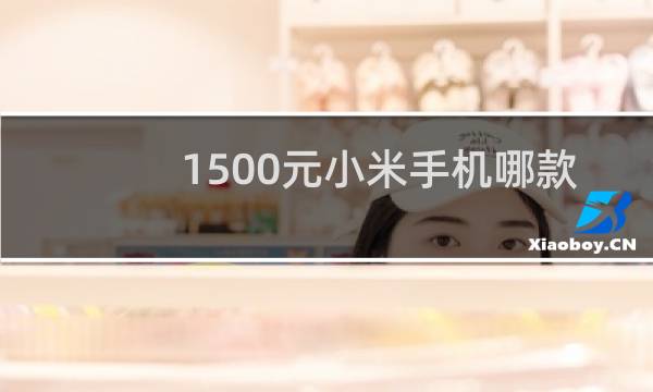 1500元小米手机哪款好