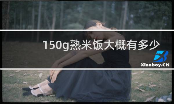 150g熟米饭大概有多少