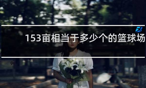 153亩相当于多少个的篮球场