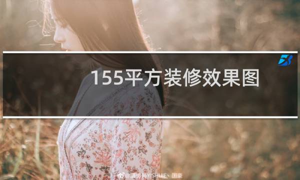 155平方装修效果图