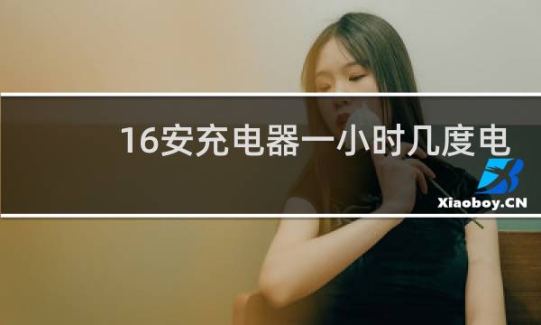16安充电器一小时几度电