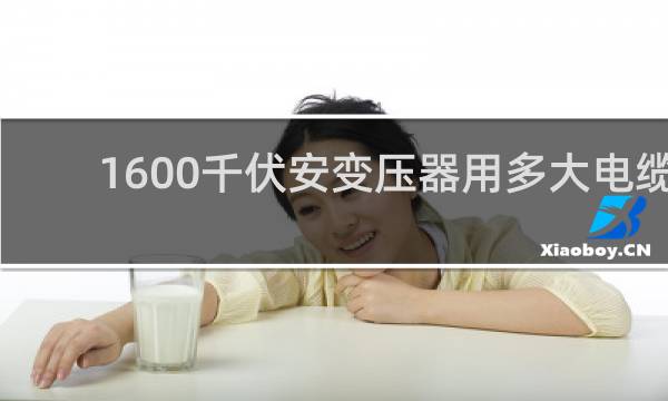 1600千伏安变压器用多大电缆