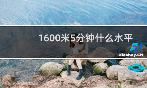 1600米5分钟什么水平