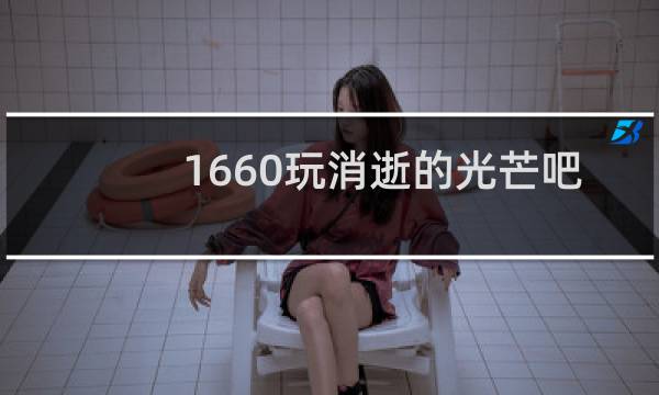 1660玩消逝的光芒吧