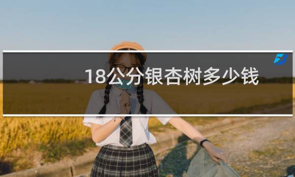 18公分银杏树多少钱