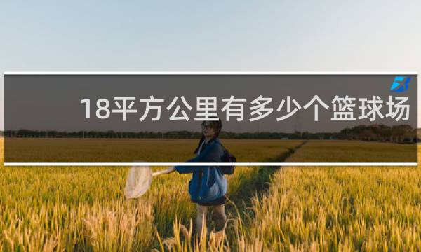 18平方公里有多少个篮球场