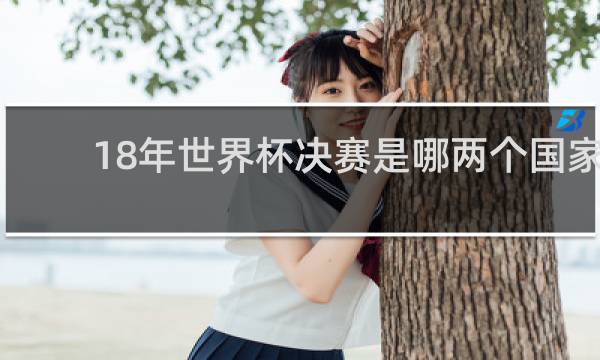 18年世界杯决赛是哪两个国家