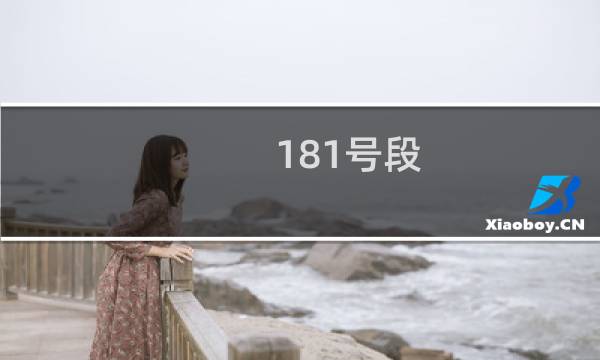 181号段