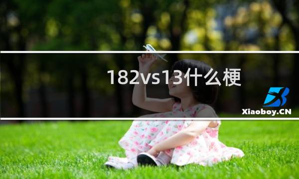 182vs13什么梗