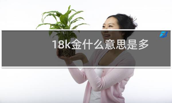 18k金什么意思是多重（18k金什么意思）图片