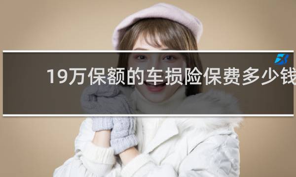 19万保额的车损险保费多少钱