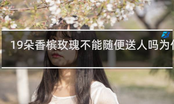 19朵香槟玫瑰不能随便送人吗为什么