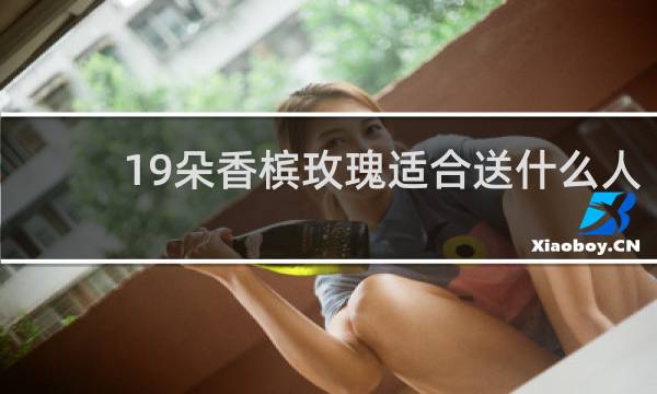 19朵香槟玫瑰适合送什么人