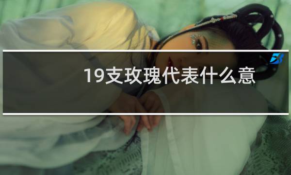 19支玫瑰代表什么意义（19支玫瑰代表什么）图片
