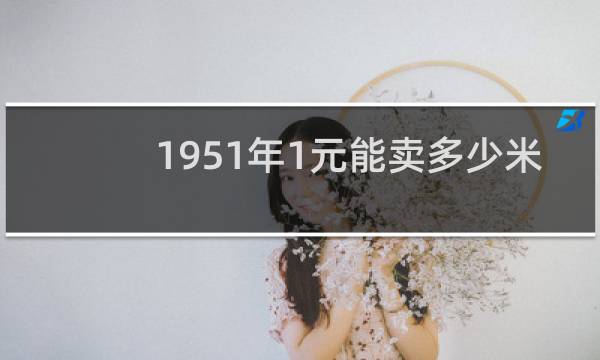 1951年1元能卖多少米