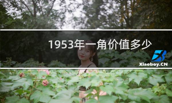 1953年一角价值多少