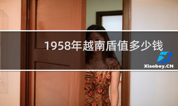 1958年越南盾值多少钱