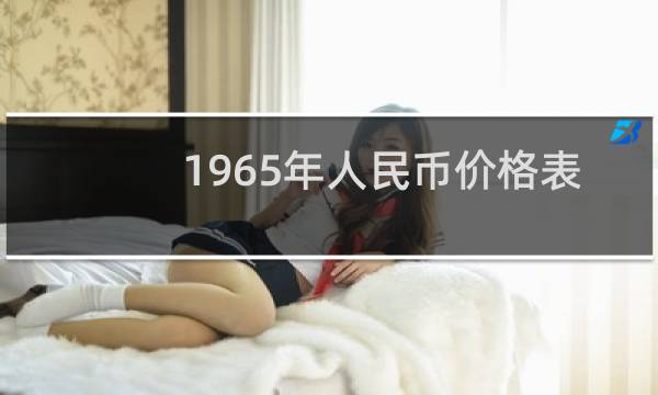 1965年人民币价格表