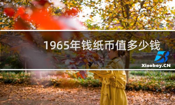 1965年钱纸币值多少钱