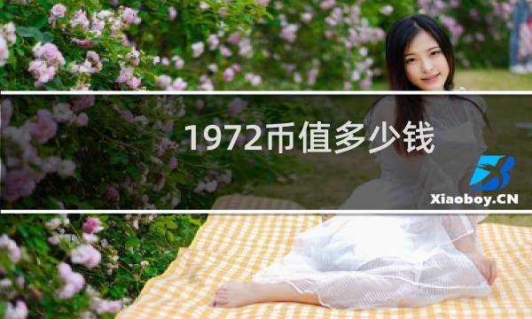 1972币值多少钱