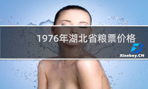 1976年湖北省粮票价格