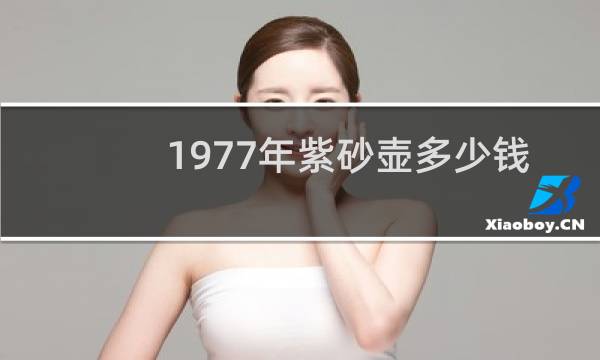 1977年紫砂壶多少钱