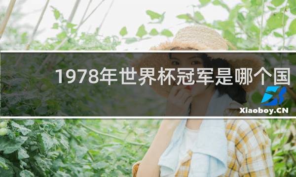 1978年世界杯冠军是哪个国家