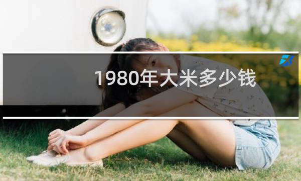 1980年大米多少钱