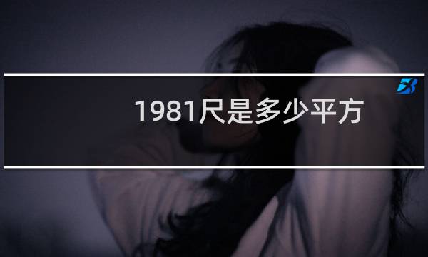 1981尺是多少平方