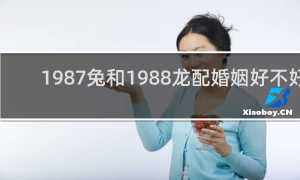 1987兔和1988龙配婚姻好不好