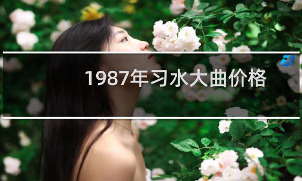 1987年习水大曲价格