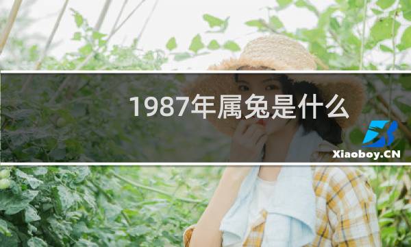 1987年属兔是什么命（何时走大运几月出生好）图片