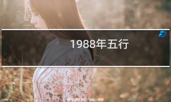 1988年五行