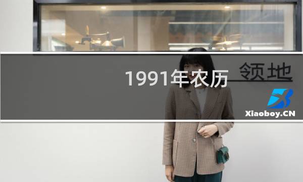 1991年农历