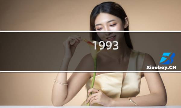 1993/8/13